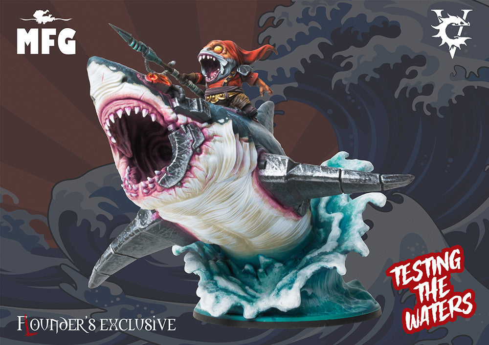 Conquest: Two Player Starters, Rules, Accessories