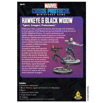 Hawkeye & Blackwidow-DoubleCGames