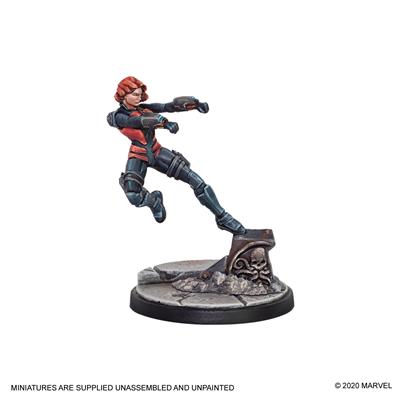 Hawkeye & Blackwidow-DoubleCGames